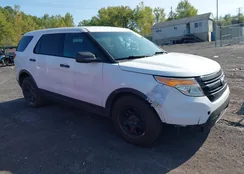 1FM5K8AR8EGB45387: 43165521