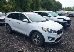 5XYPHDA51JG406874: 43167591