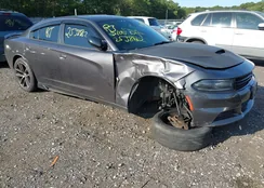 2C3CDXFG5FH762859: 43173143