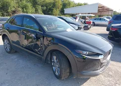 3MVDMBDM8RM656325: 43173285