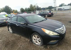 5NPEC4AC2DH566358: 43172681