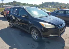 1FMCU9JX6GUB36908: 43174077