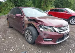 1HGCR2F87EA196310: 43175439