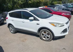 1FMCU0GX7EUA86004: 43177209