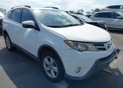 JTMWFREV1D5016122: 43176801