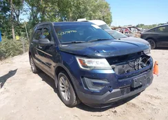 1FM5K8B89HGA41940: 43178770