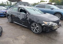 1N4AA6AP7JC368729: 43179883