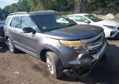 1FMHK8D8XBGA22816: 43182079