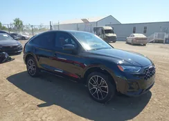 WA124AFY6P2181534: 43181607