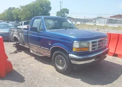 1FTEF15Y0TNA04064: 43181893