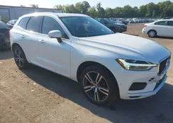 LYV102RK3KB184053: 43184382