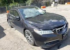 19UUB1F56FA009696: 43186005