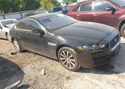 SAJAS4FX4KCP51101: 43185707