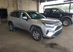 4T3RWRFVXSU194788: 43186672