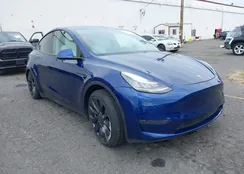 5YJYGDEF6LF057036: 43189529