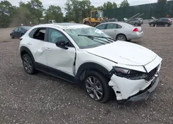 3MVDMBCL2MM262708: 43191986