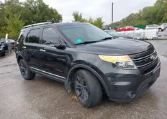 1FM5K8F85DGC05771: 43193360