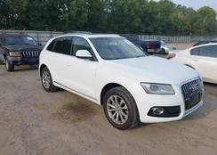 WA1LFAFP2EA007906: 43195006