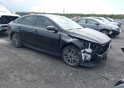 3KPF54AD4PE540828: 43195463