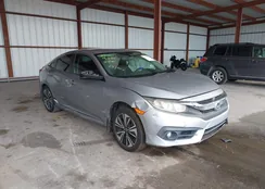 19XFC1F31HE012184: 43197216