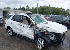 4JGDA5HB7JB076608: 43196919