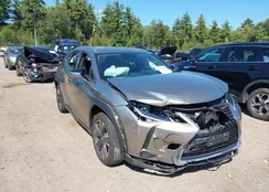 JTHX9JBH4N2055882: 43198165