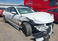 1G6DP5RK6P0103161: 43198455