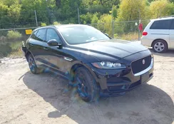 SADCJ2BV9HA091679: 43202229