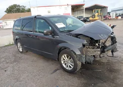 2C4RDGCG2LR253246: 43202668