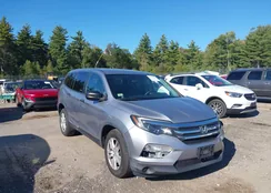 5FNYF6H17GB028164: 43207383