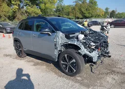 7MUFBABG6RV061244: 43208774