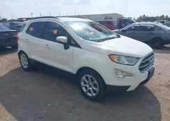 MAJ3S2GE1LC394864: 43210247