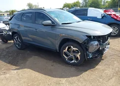 5NMJFCDE5RH312807: 43211979