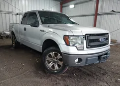 1FTFX1CF9DFA37238: 43213174