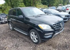 4JGDA2EB7DA203483: 43212859