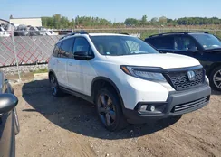 5FNYF8H91MB005668: 43213552