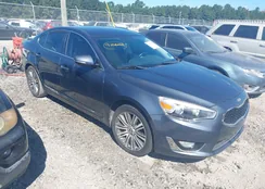 KNALN4D75E5161707: 43213792