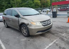 5FNRL5H68BB031800: 43215955