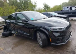 3FMTK4SX5RMA16676: 43218459