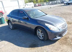 JN1CV6AR1DM759613: 43217801