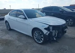 ZARFANBN7N7661669: 43219909