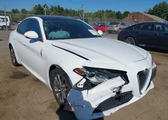 ZARFANANXK7603133: 43219658