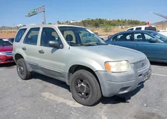 1FMYU02134KB36075: 43221152