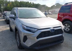 4T3RWRFV4RU134239: 43222733