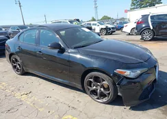 ZARFAEEN1J7566613: 43224986