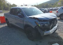 5FPYK3F81RB021280: 43226429