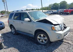 1FMCU941X8KB10431: 43228884