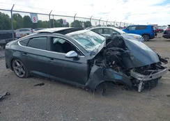 WAUB4CF59KA024244: 43229618