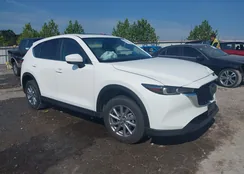 JM3KFBCM4N0631351: 43231514