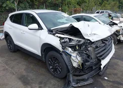 KM8J23A41HU505773: 43231809